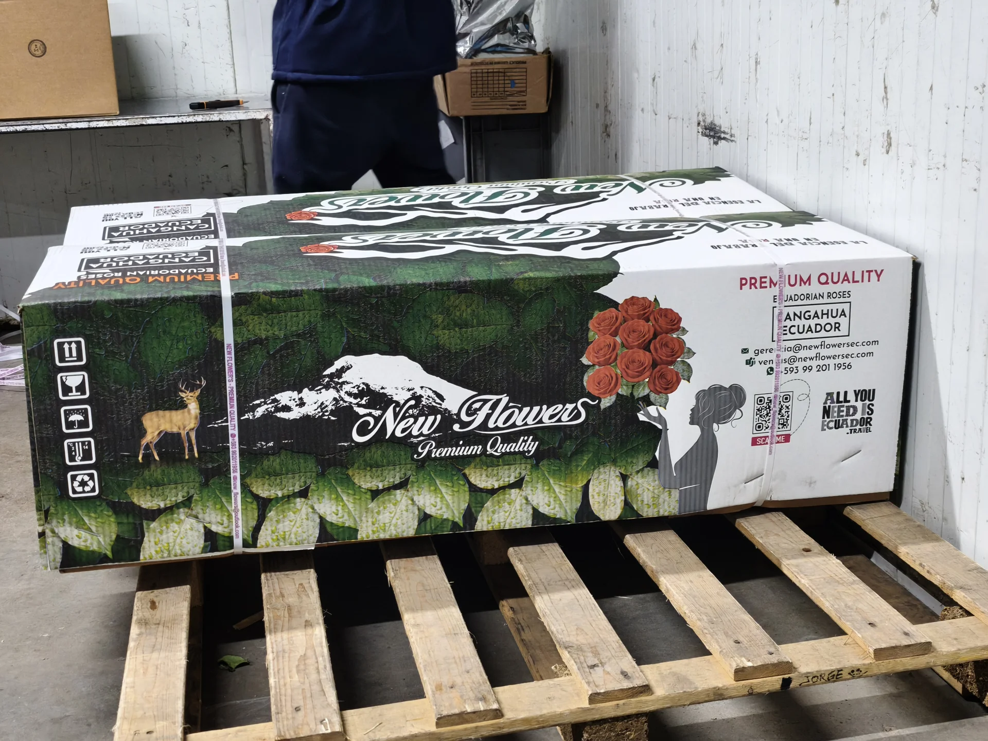 Caja de empaque