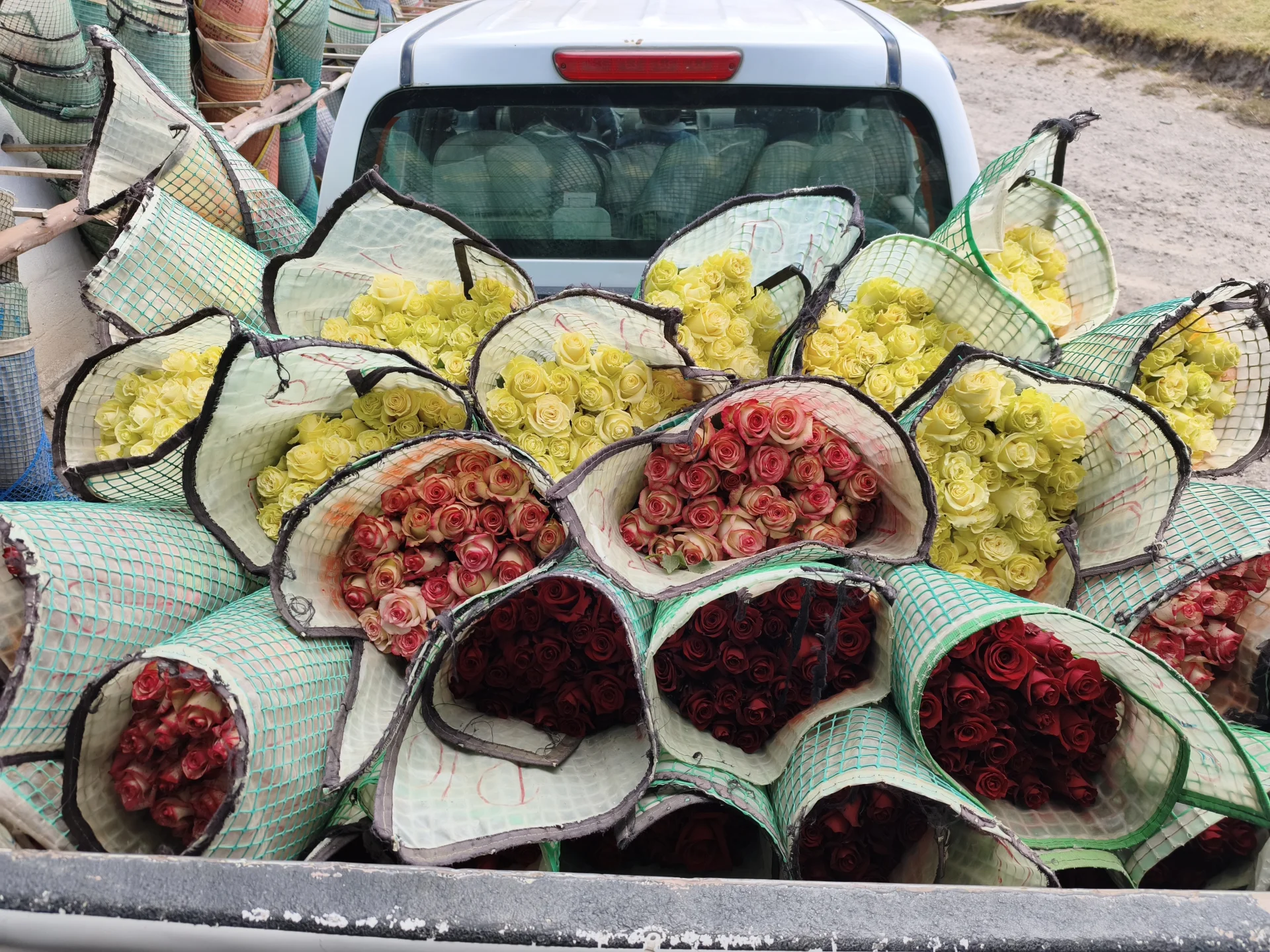 Entrega de flor