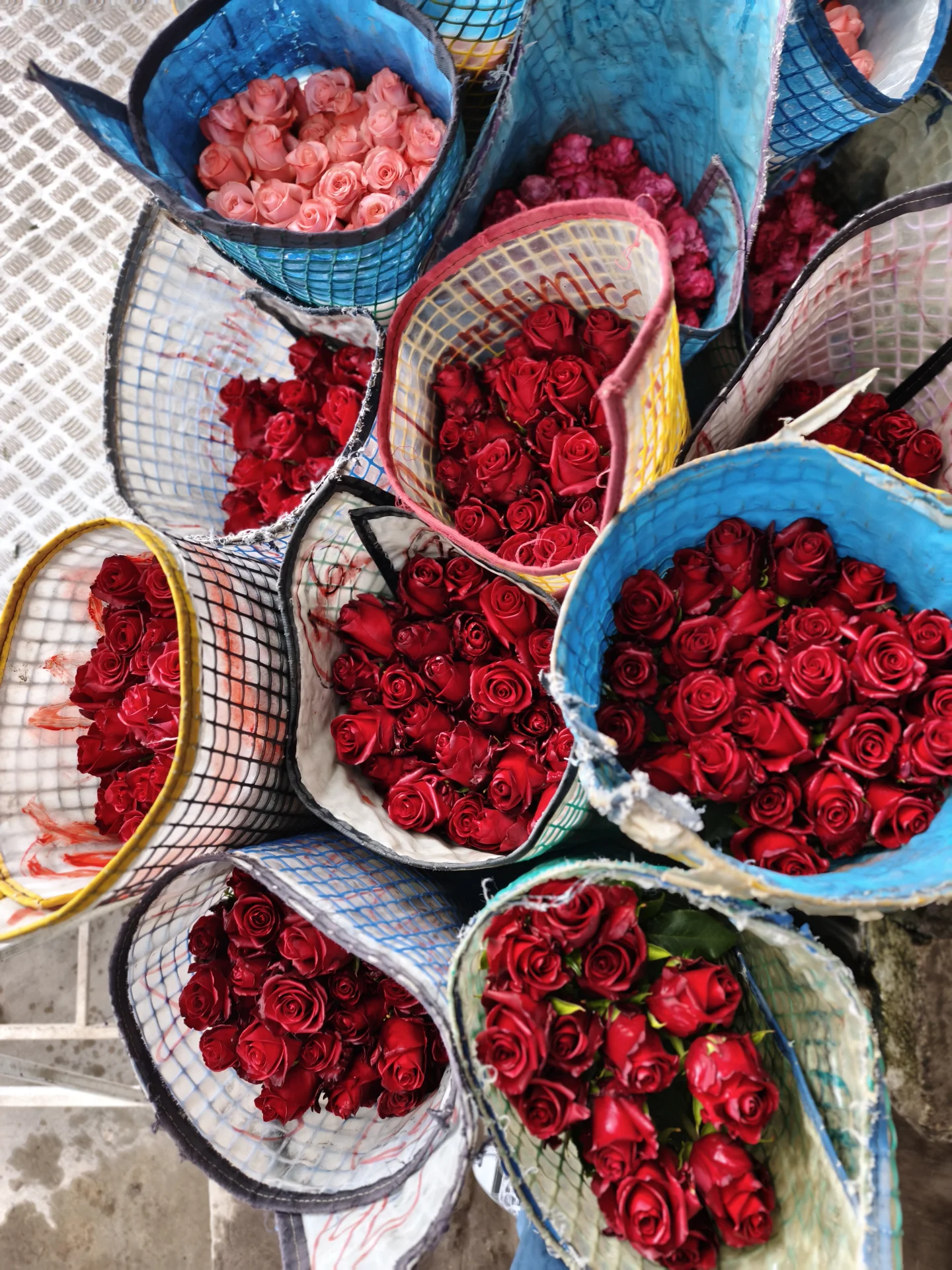 Rosa rojas en mallas