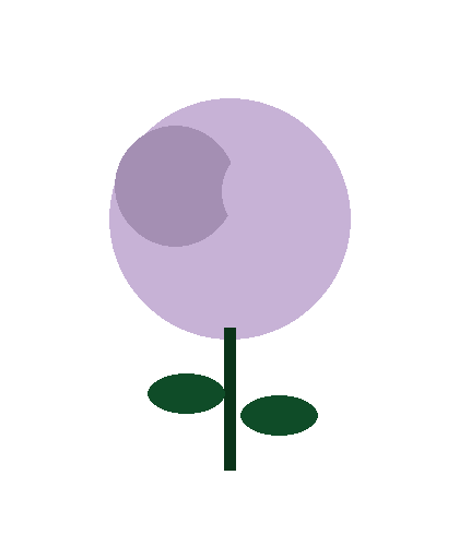Lavanda Mist